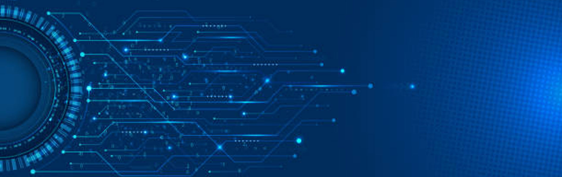 Shop Our New Collection